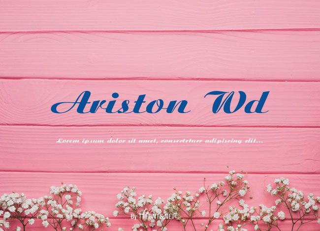 Ariston Wd example